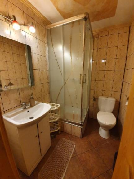 Pokoje I Apartamenty Regionalny Styl Ul Bachledy 41 ザコパネ エクステリア 写真